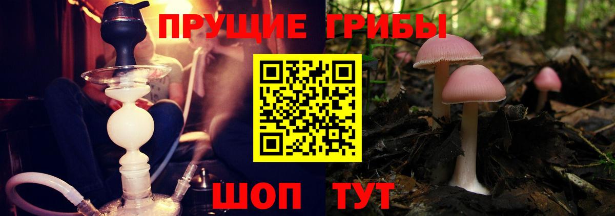 Слободской  Псилоцибиновые грибы Magic Shrooms  Вход с VPN  Галлюциногенные грибы Psilocybe 